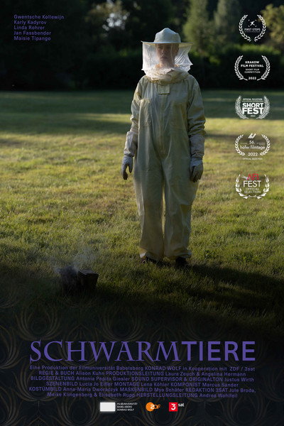 Póster de The Swarmers
