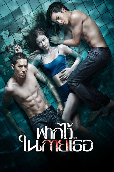 Póster de The Swimmers