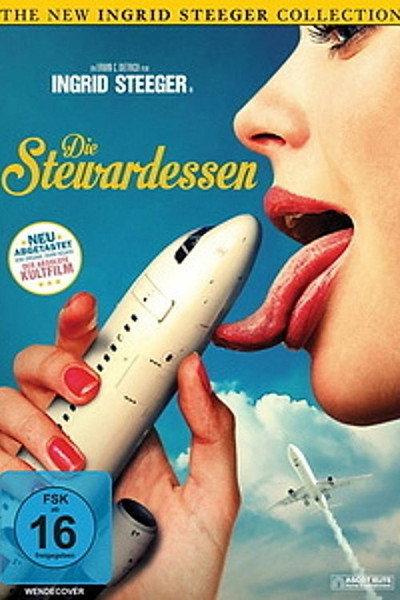 Póster de The Swingin' Stewardesses