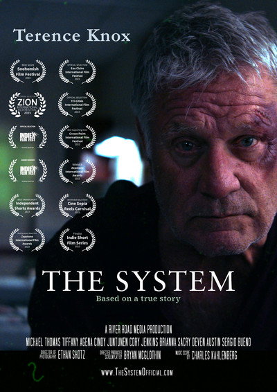 Póster de The System