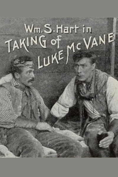 Póster de The Taking of Luke McVane