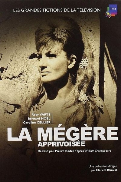 Póster de The Taming of the Shrew