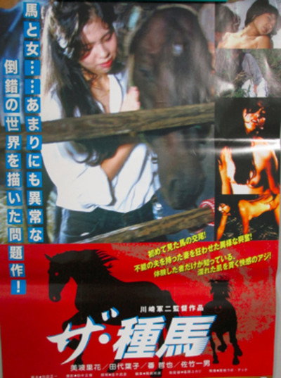 Póster de The taneuma