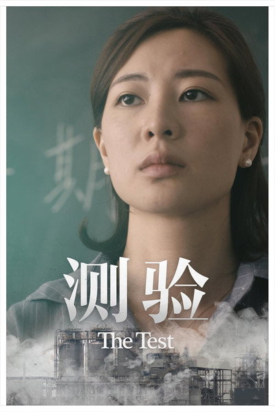 Póster de The Test