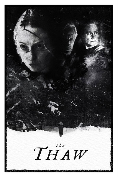 Póster de The Thaw
