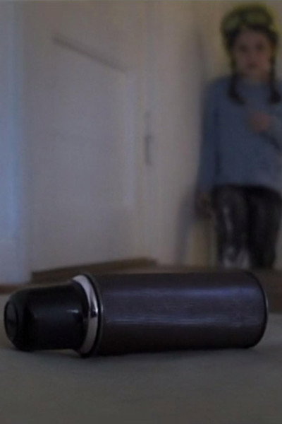 Póster de The Thermos