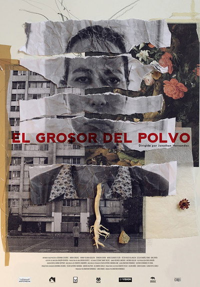 Póster de The Thickness of Dust