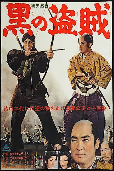 Póster de The Thief in Black
