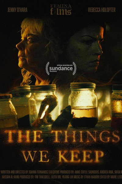 Póster de The Things We Keep