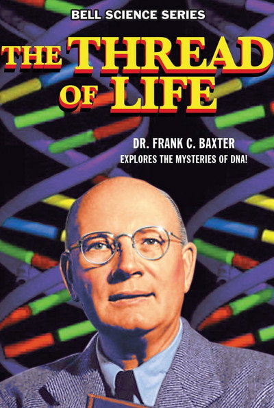 Póster de The Thread of Life