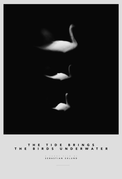 Póster de The Tide Brings the Birds Underwater