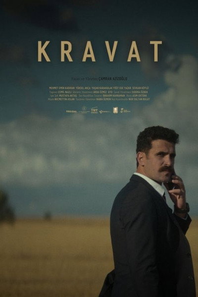 Póster de The Tie