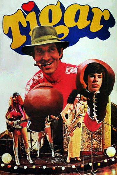 Póster de The Tiger