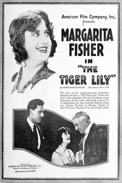 Póster de The Tiger Lily