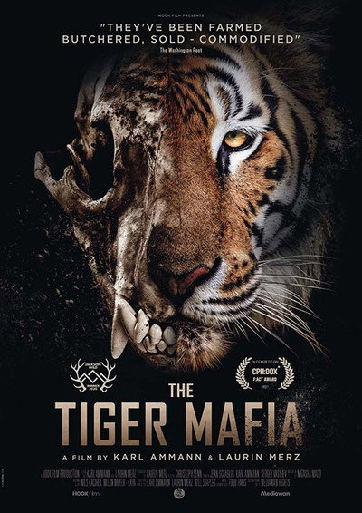 Póster de The Tiger Mafia