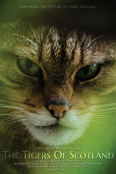 Póster de The Tigers of Scotland