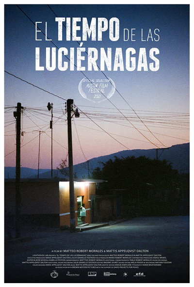 Póster de The Time of the Fireflies