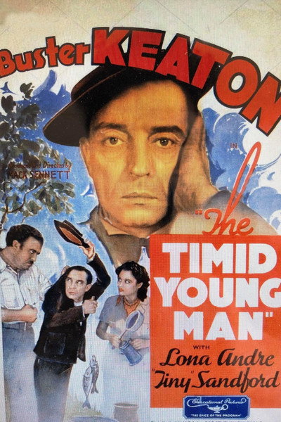 Póster de The Timid Young Man