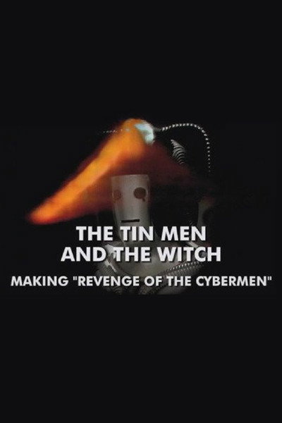 Póster de The Tin Man and the Witch