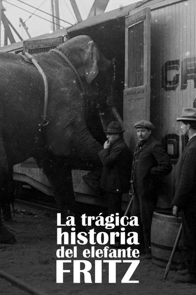 Póster de The Tragic Story of Fritz the Elephant