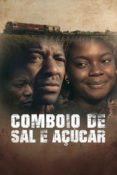 Póster de The Train of Salt and Sugar