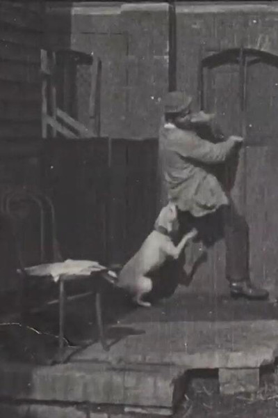 Póster de The Tramp and the Dog
