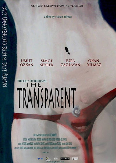 Póster de The Transparent