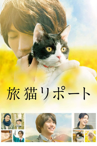 Póster de The Travelling Cat Chronicles