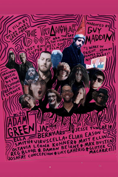 Póster de The Triangular Door