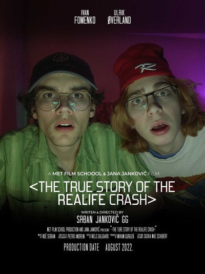 Póster de The True Story of the REALIFE Crash