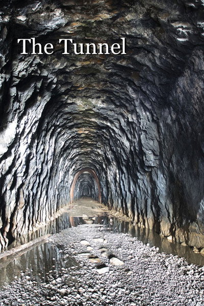 Póster de The Tunnel: The Creation and Recreation of the Blue Ridge Railroad Tunnel