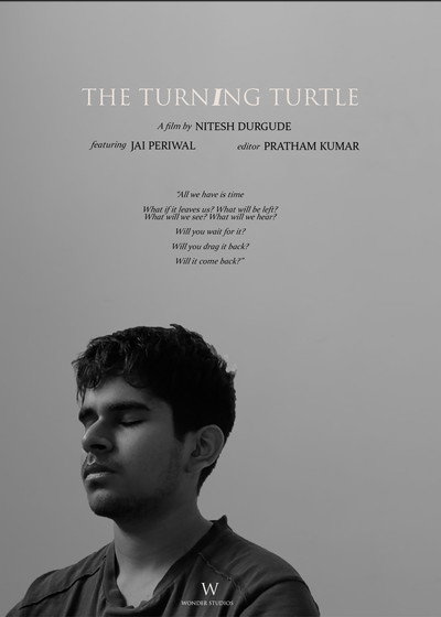 Póster de The Turning Turtle