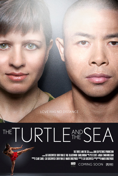 Póster de The Turtle and the Sea