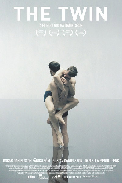 Póster de The Twin