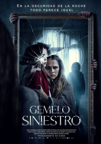 Póster de The Twin
