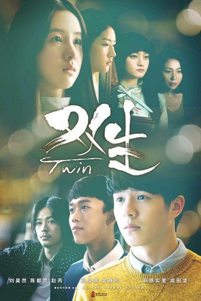 Póster de The Twins