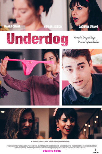 Póster de The Underdog