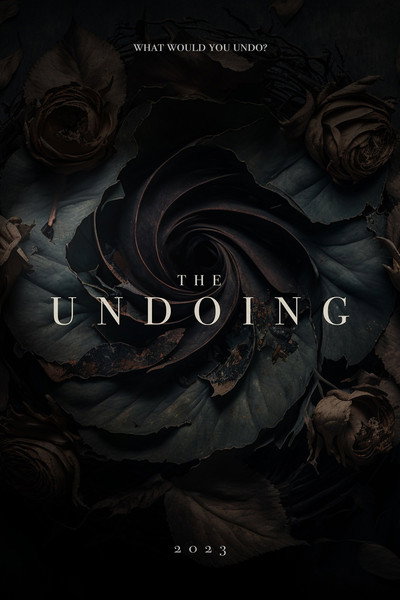 Póster de The Undoing