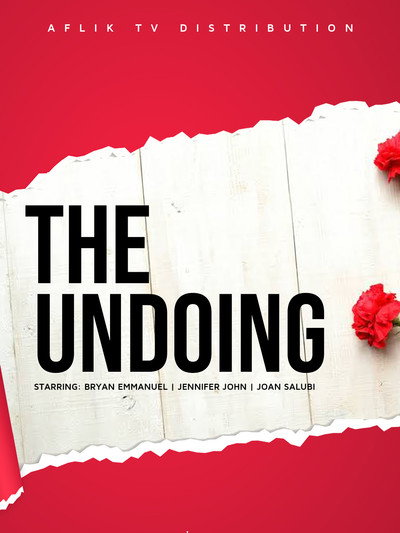 Póster de The Undoing