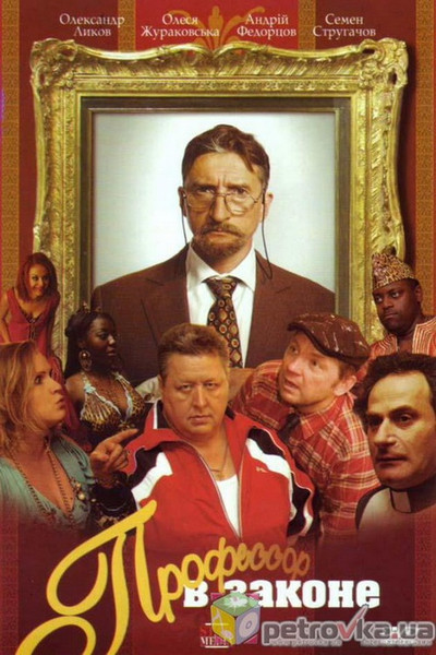 Póster de The Untouchable Professor