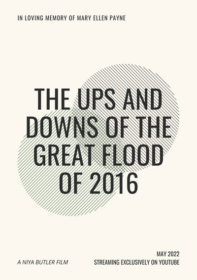 Póster de The Ups and Downs of the Great Flood of 2016