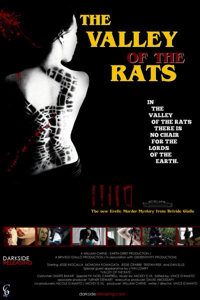 Póster de The Valley of the Rats