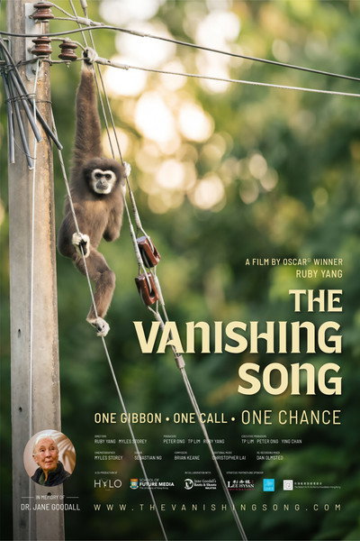 Póster de The Vanishing Song