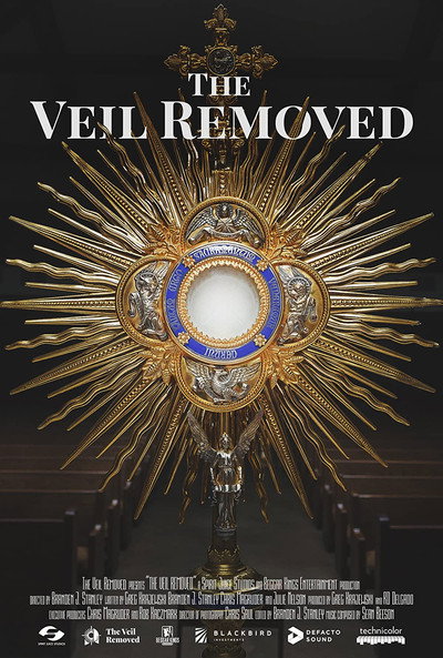 Póster de The Veil Removed