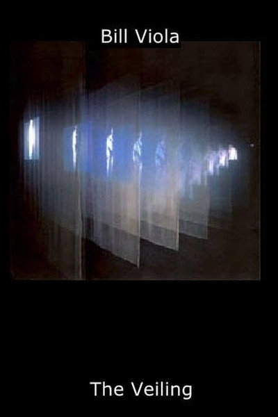 Póster de The Veiling