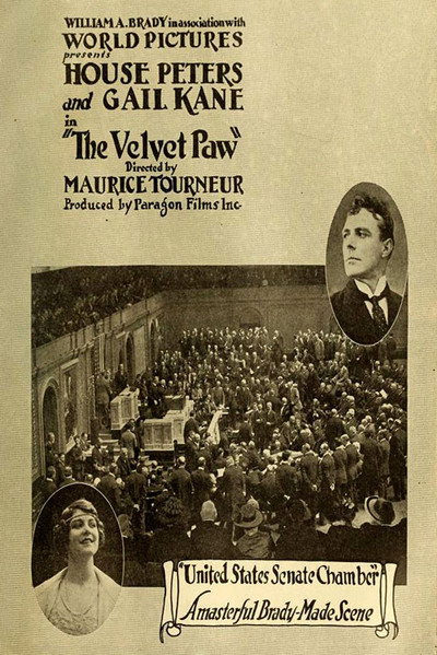Póster de The Velvet Paw