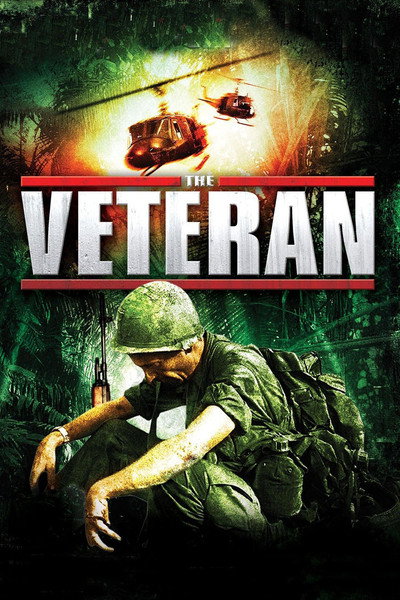 Póster de The Veteran