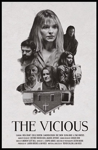 Póster de The Vicious