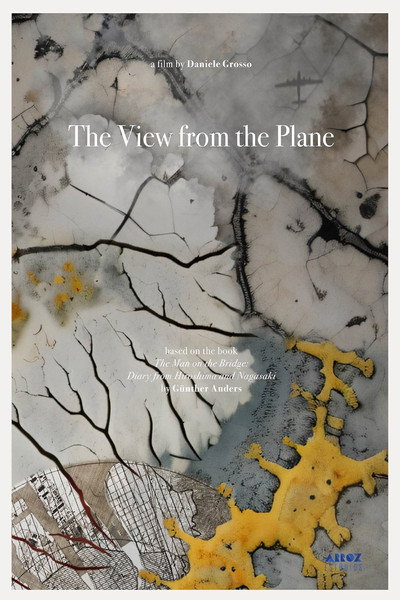 Póster de The View from the Plane