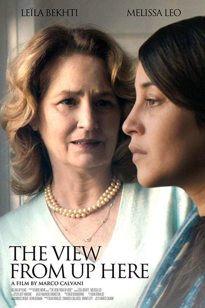 Póster de The View from Up Here